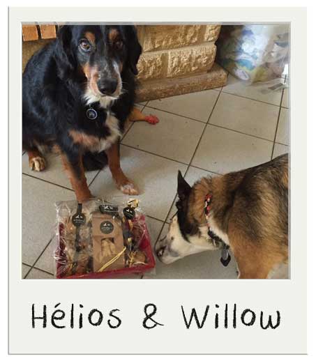 Hélios et Willow